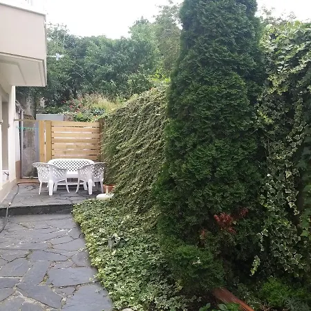 Con Pequeno Jardin En El Centro 아파트
