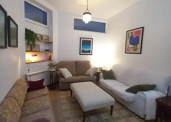 Appartement Con Pequeno Jardin En El Centro Ferrol